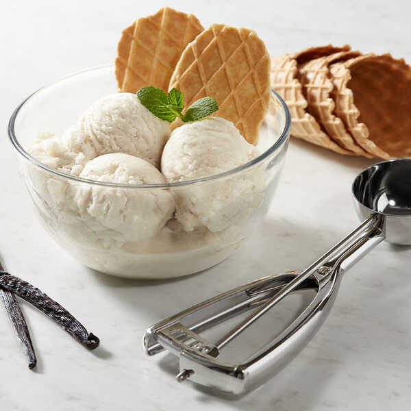 Recipe for Vanilla Blender Ice Cream