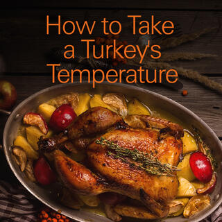 Click for The Total Turkey Guide: How to Take a Turkey's Temperature